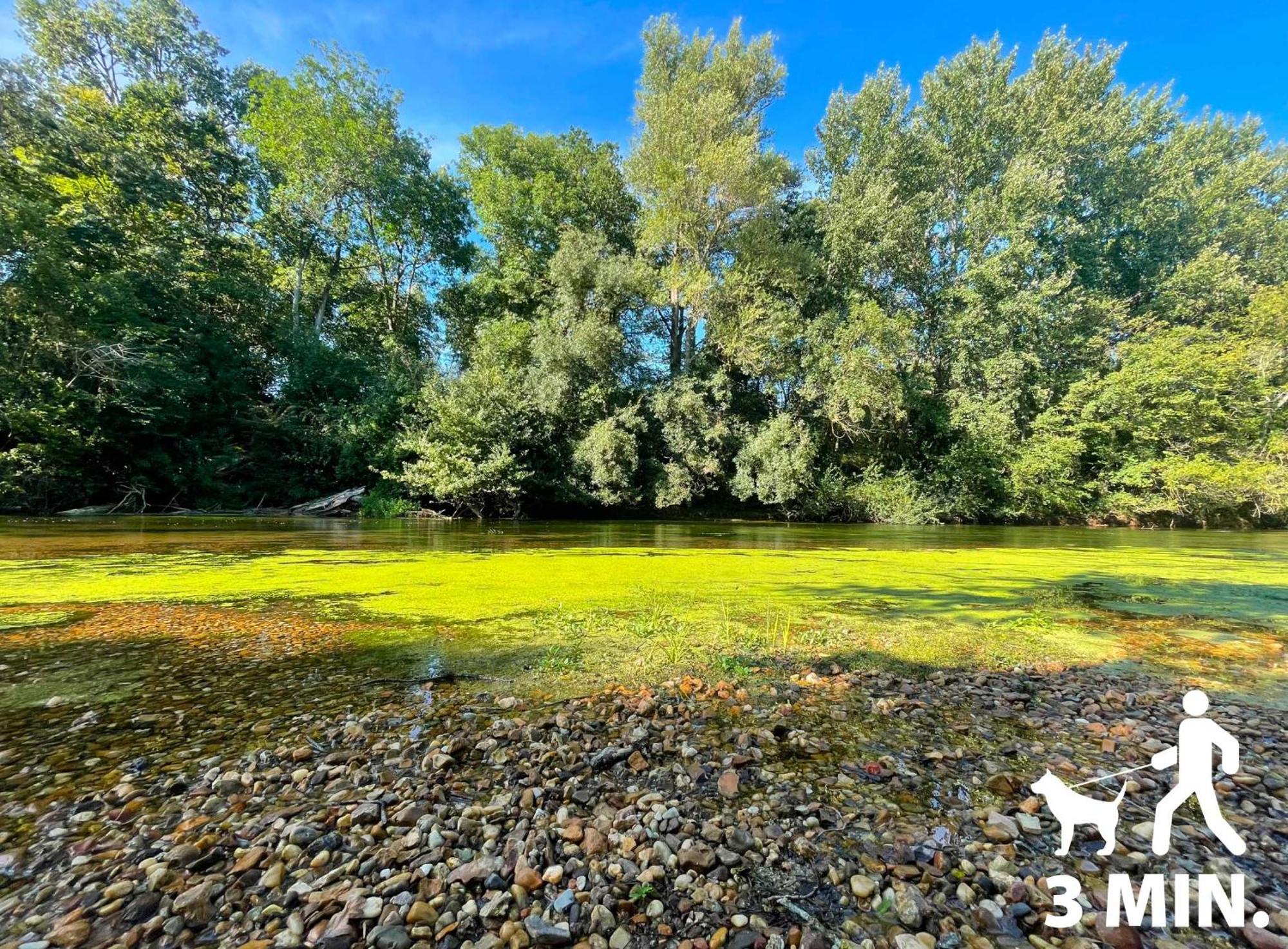 Gite Du Loiret Saint-Hilaire-Saint-Mesmin Екстер'єр фото